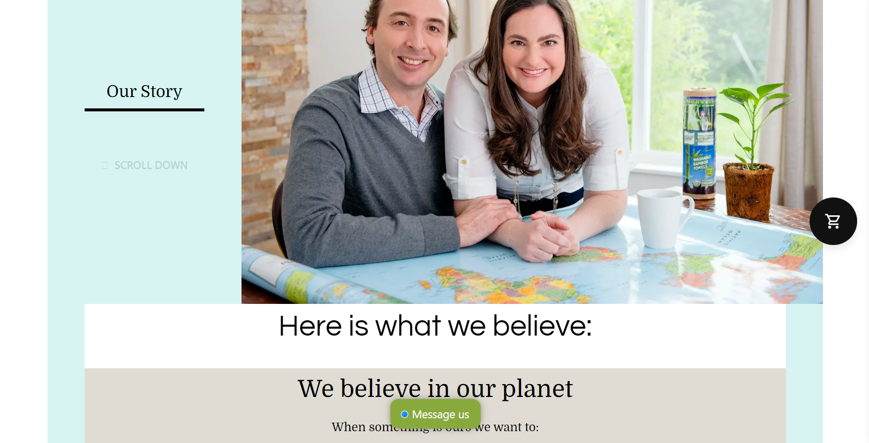 Bambooee Shopify Landing Page Examples