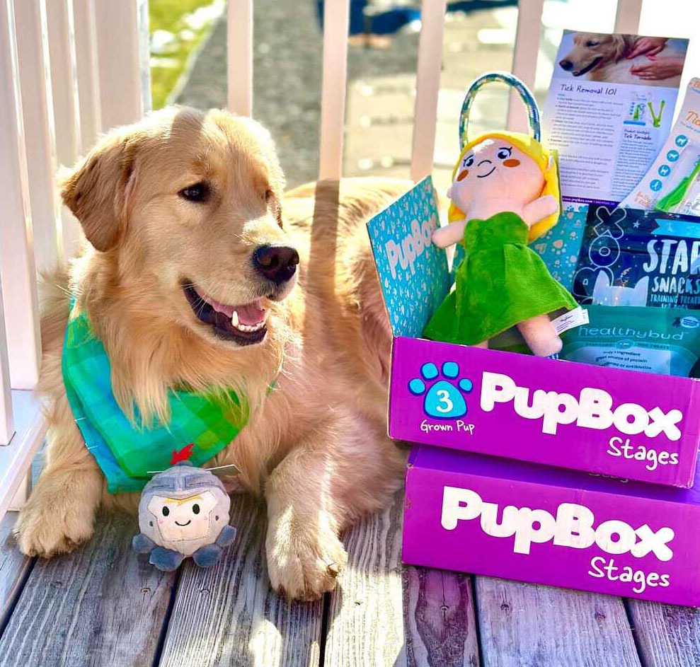Top subscription boxes - PupBox