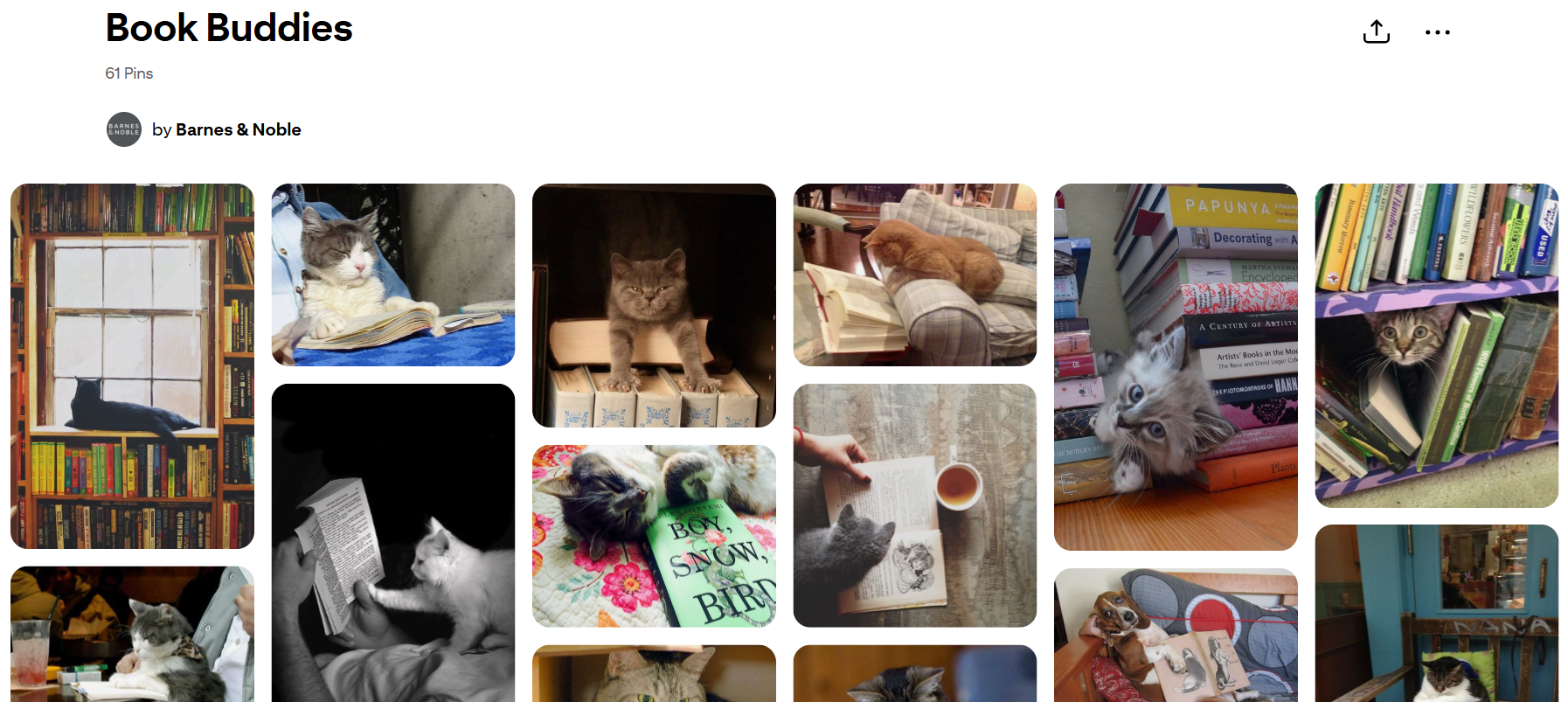 Fun stuff - Pinterest board idea