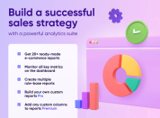 build efficient sales strategy with advanced reports