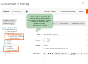 categories duplication example