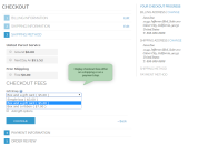 fees block on the checkout page