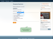 example of rank question type